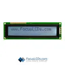 Focus LCDs C202C-FTW-LW63