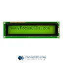 Focus LCDs C202C-YTY-LW63