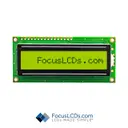 Focus LCDs C161A-YTY-LW63