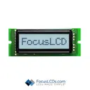 Focus LCDs C81C-FTW-LW63