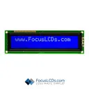 Focus LCDs C202C-BW-LW63