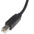 StarTech.com USB2HAB10 thumbnail 4