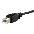 StarTech.com USBPNLBFBM3 缩略图 4