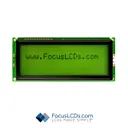 Focus LCDs C204B-YTY-LW63