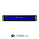 Focus LCDs C402A-BW-LW63