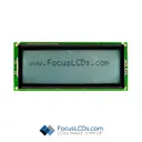 Focus LCDs C204B-FTW-LW63