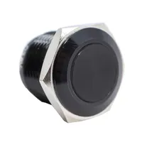 E-Switch PV6F24011G