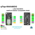IOT-BOTS.COM IBT-QTL-AFC-RAK4600 サムネイル 5