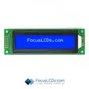 Focus LCDs C202AS-BW-LW65