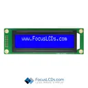 Focus LCDs C202A1-BW-YW65
