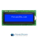 Focus LCDs C162AS-BW-LW63