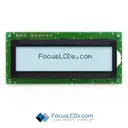 Focus LCDs C162AS-FTW-LW63