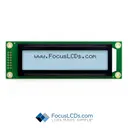 Focus LCDs C202A1-FTW-YW65