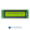 Focus LCDs C202AS-YTY-LW63