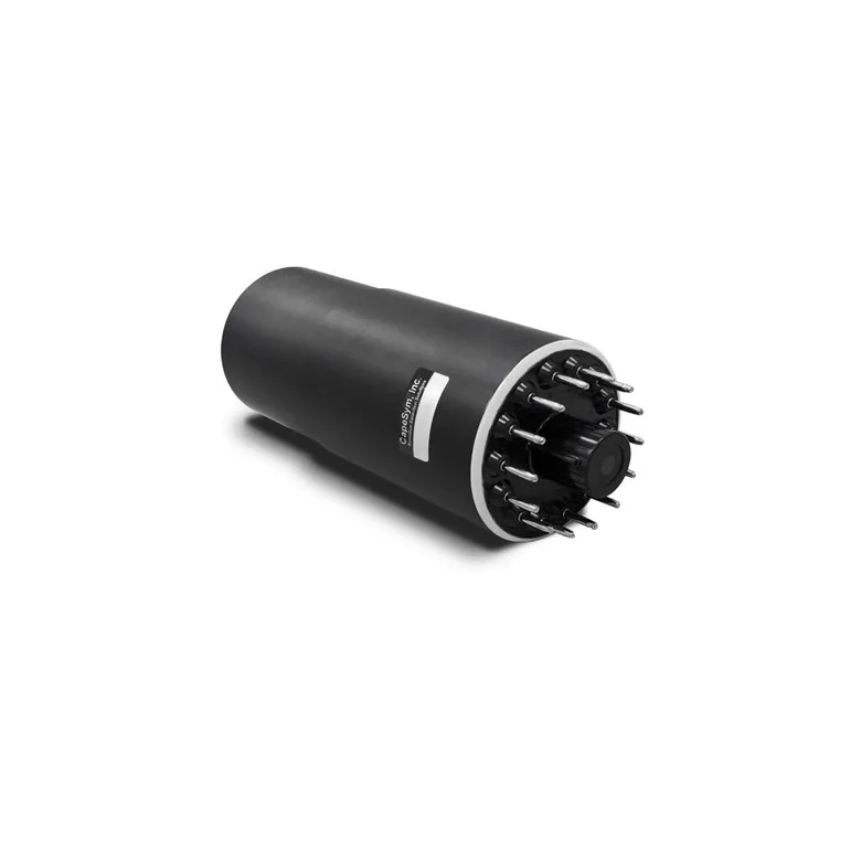 CapeScint LABR-38X38-R6231