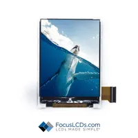 Focus LCDs E24RA1-FW420-N