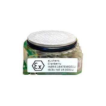 CRA30442-SAFETY-CH4-5%VOL