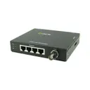 Perle Systems 06003694