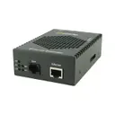 Perle Systems 06003620