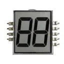 Orient Display OD-202