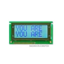 Orient Display AMC0802CR-B-G6WFDW