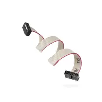 Raytac IDC 10P/IDC 10P, SAP-141223-01