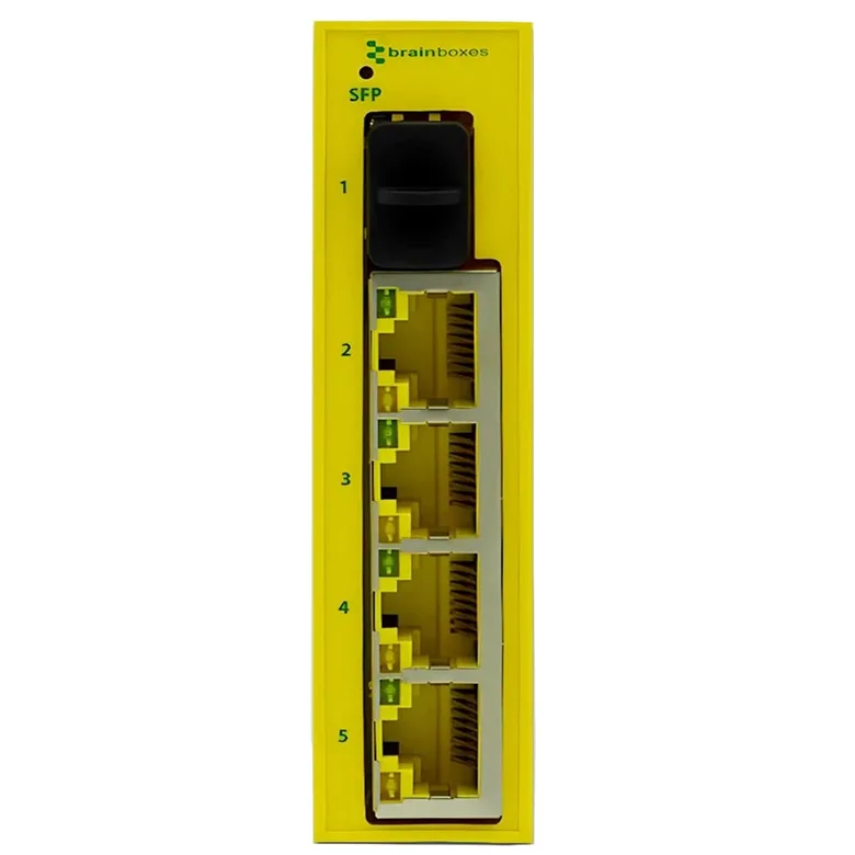 Brainboxes SW-595