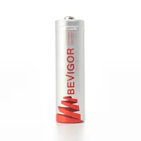 Bevigor 01-AA3000-2