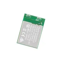 Raytac AN54LQ-15