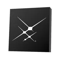 Skyworks Solutions Inc. SKYA21062