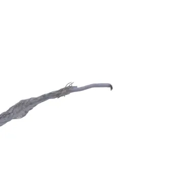 BTA-2619.01