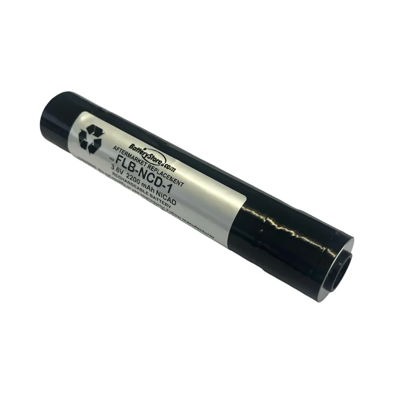 Battery Store, Inc. FLB NCD-1