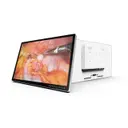 Lilliput Electronics (USA) Inc. MD31