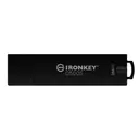Kingston Technology IKD500S/256GB