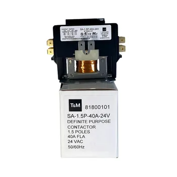 81800101
