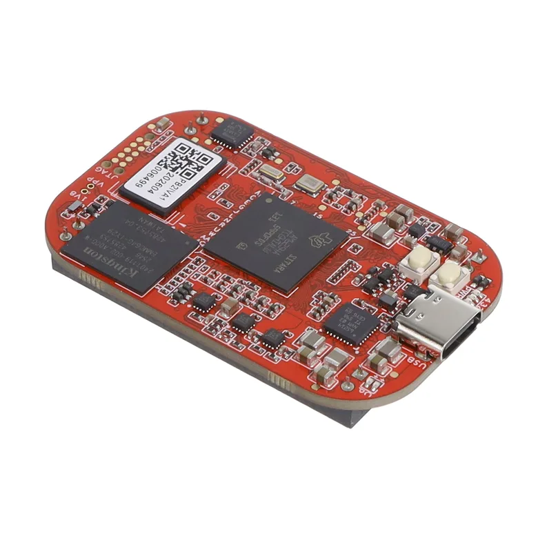 BeagleBoard 100003007