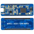 BrisbaneSilicon BRS-100-GW1NR9 thumbnail 1