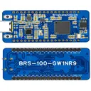 BrisbaneSilicon BRS-100-GW1NR9