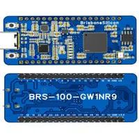 BrisbaneSilicon BRS-100-GW1NR9