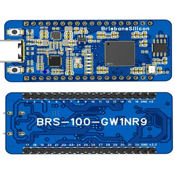 BRS-100-GW1NR9