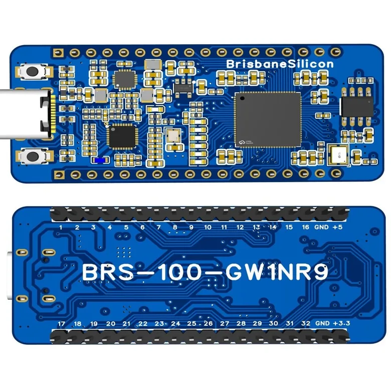 BrisbaneSilicon BRS-100-GW1NR9