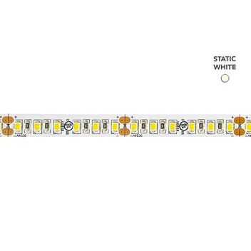 T10MM-4.4W-22K-24V