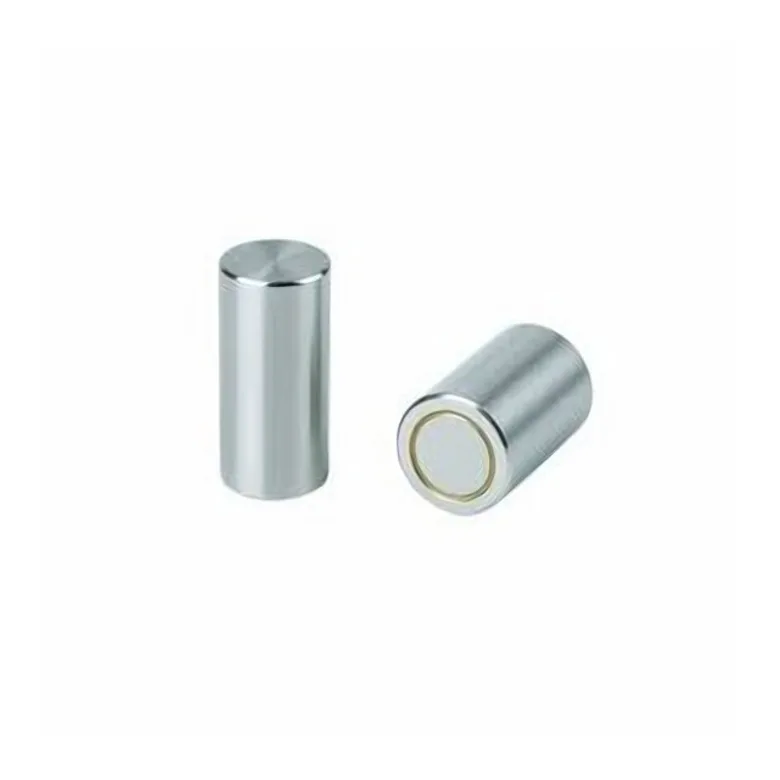 Eclipse Magnetics Ltd E738