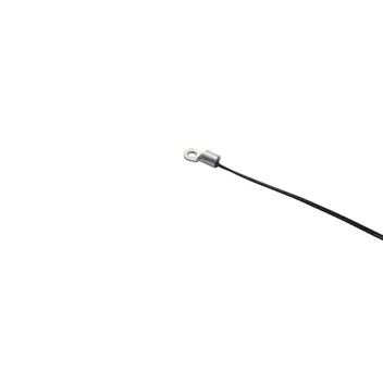 ETP10007