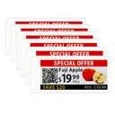 Santek SE0290C1-W04-EP-N(6)