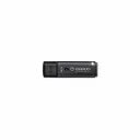Kingston Technology IKLP50G2/256GB