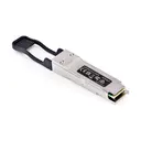 StarTech.com LOOPBACKPLUG100G
