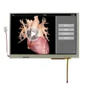 Newhaven Display Intl NHD-7.0-800480WF-ATXI#-T