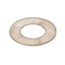 Ohmite 6013E