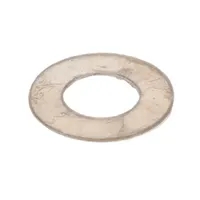 Ohmite 6013E